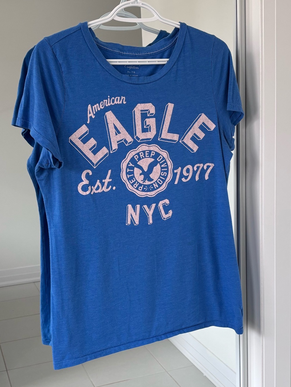 American Eagle Graphic Tee in Blue
